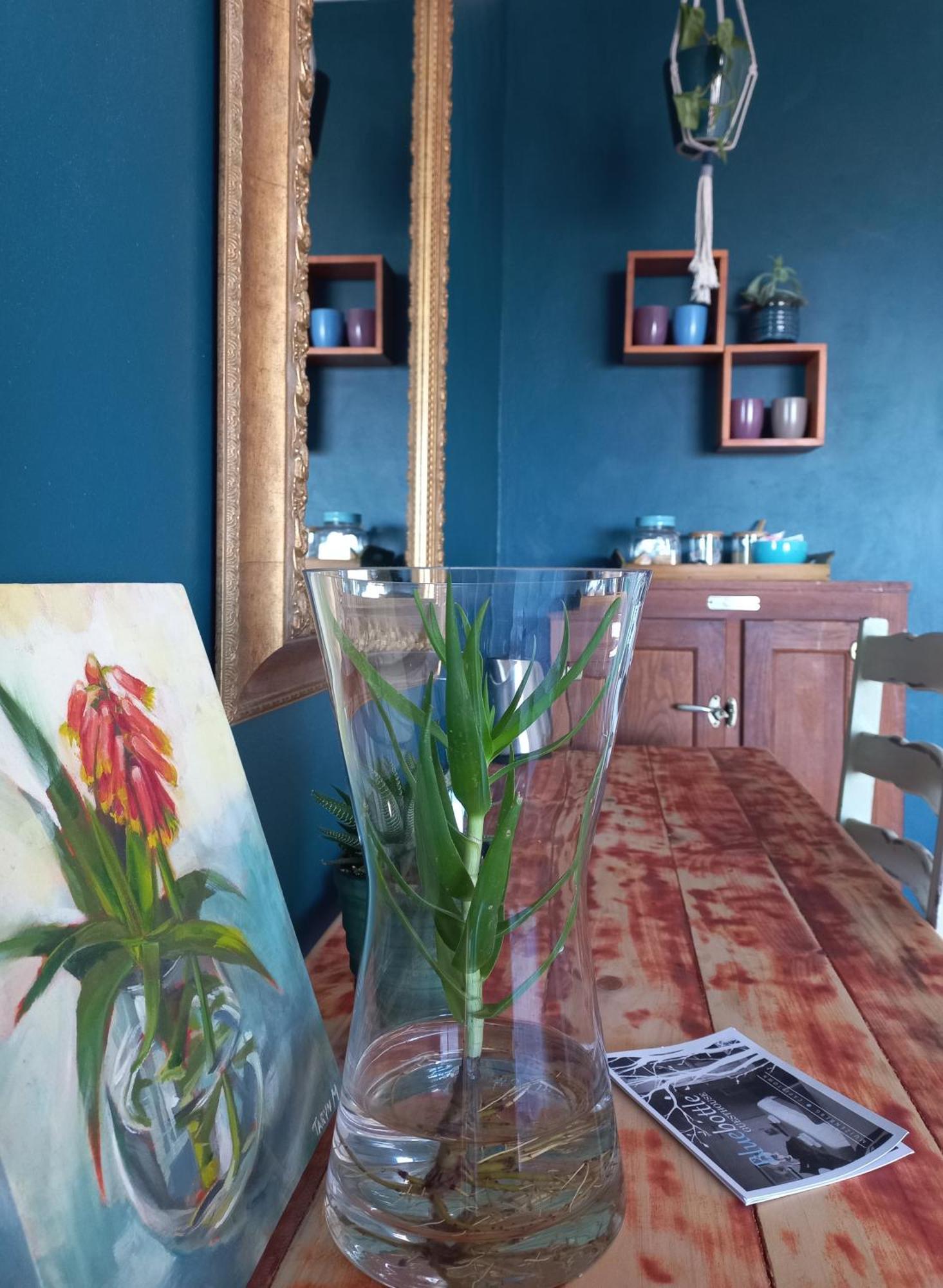 Bluebottle Guesthouse Muizenberg Luaran gambar