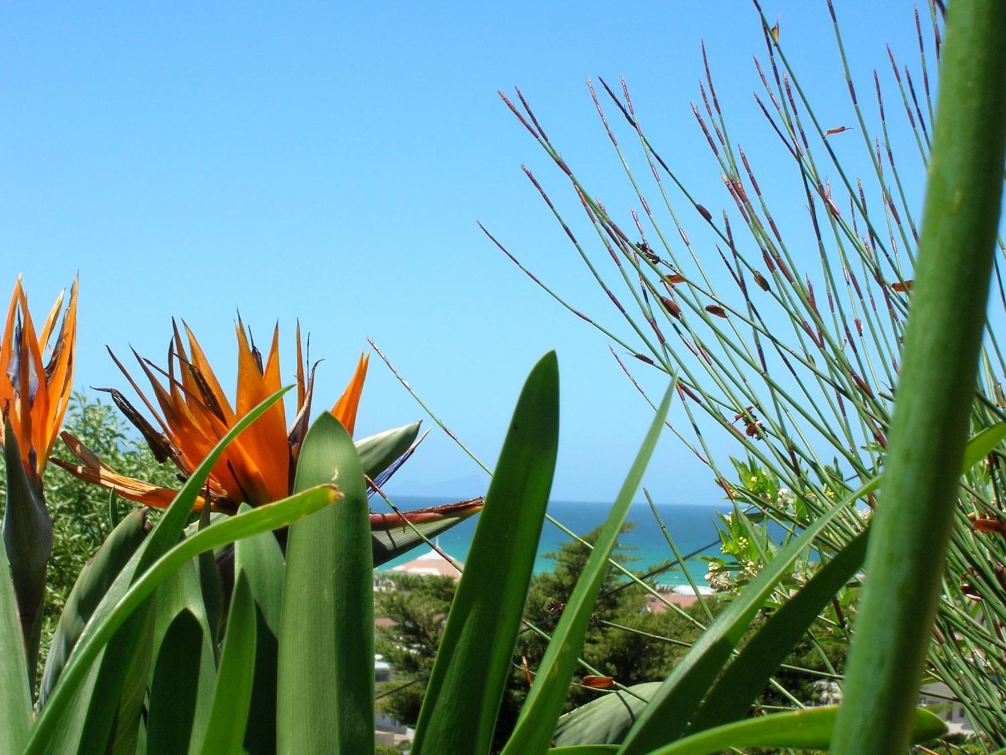 Bluebottle Guesthouse Muizenberg Luaran gambar